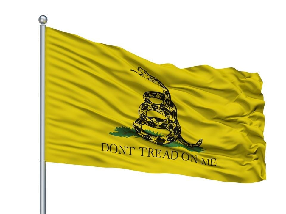 ・１９１５年・PRO-PATRIA・２０cm・Ｂ＆Ｇ． Copen・ 267754211-gadsden-flag-