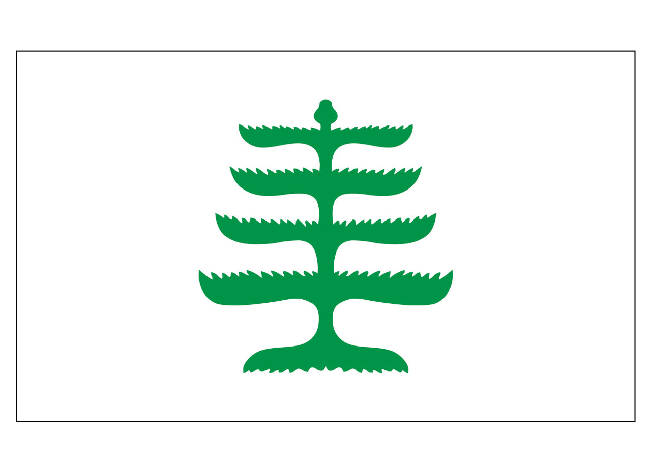 Pine Tree Flag | 3' x 5' Nylon - Liberty Flagpoles - Historical Flag