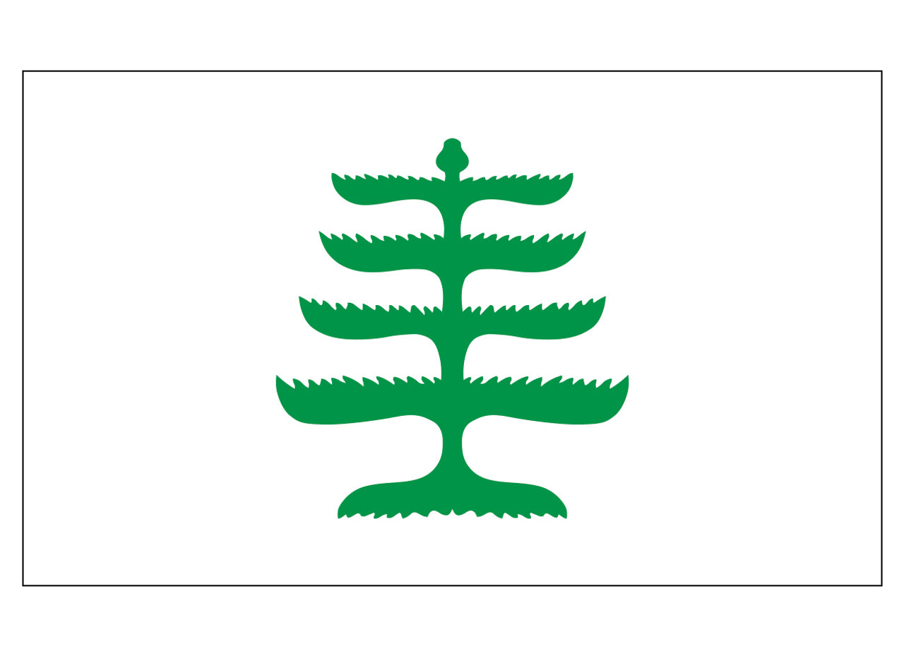 Pine Tree Flag | 3' x 5' Nylon