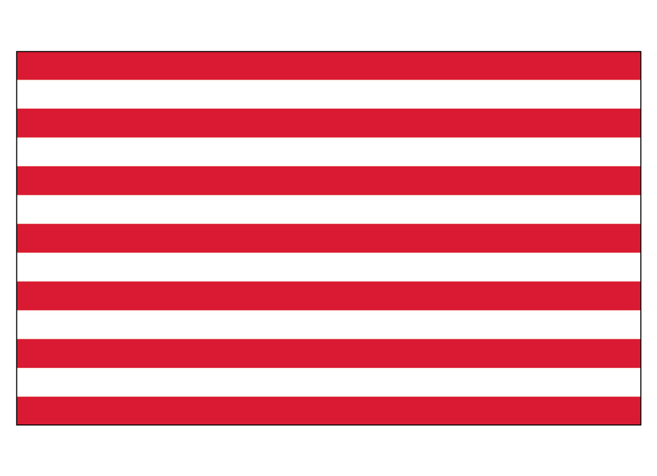 Sons of Liberty Flag | 3' x 5' Nylon