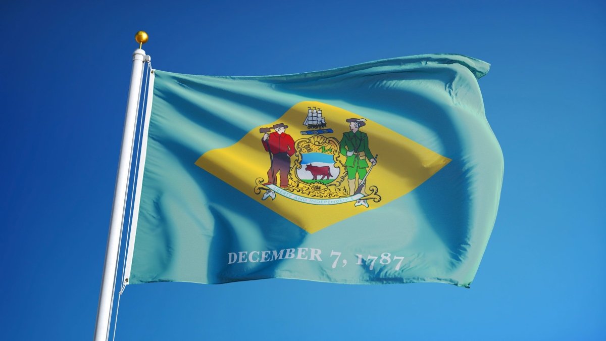 Delaware State Flag | Nylon or Poly - Liberty Flagpoles - State Flag