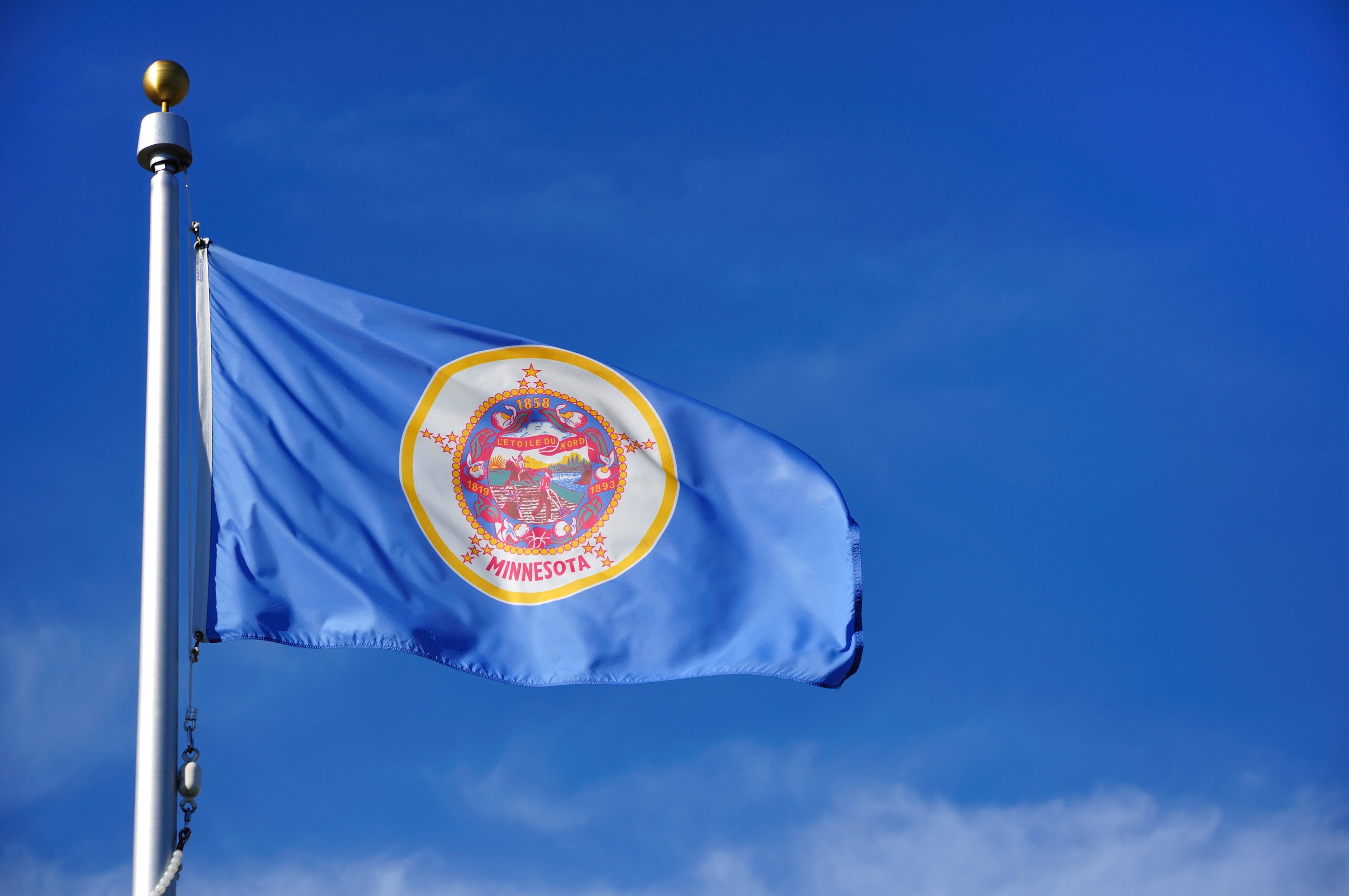 Minnesota State Flag | Nylon or Poly