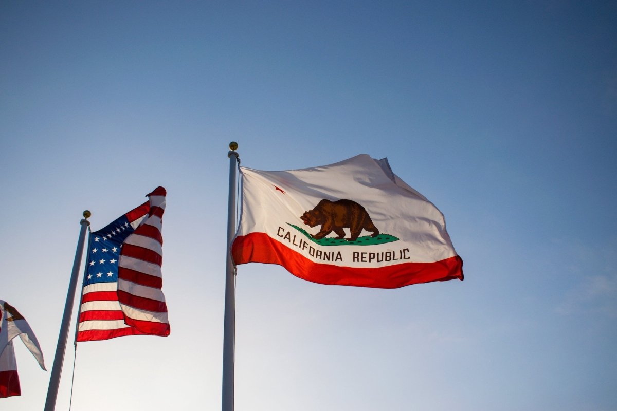 California State Flag | Nylon or Poly - Liberty Flagpoles - State Flag