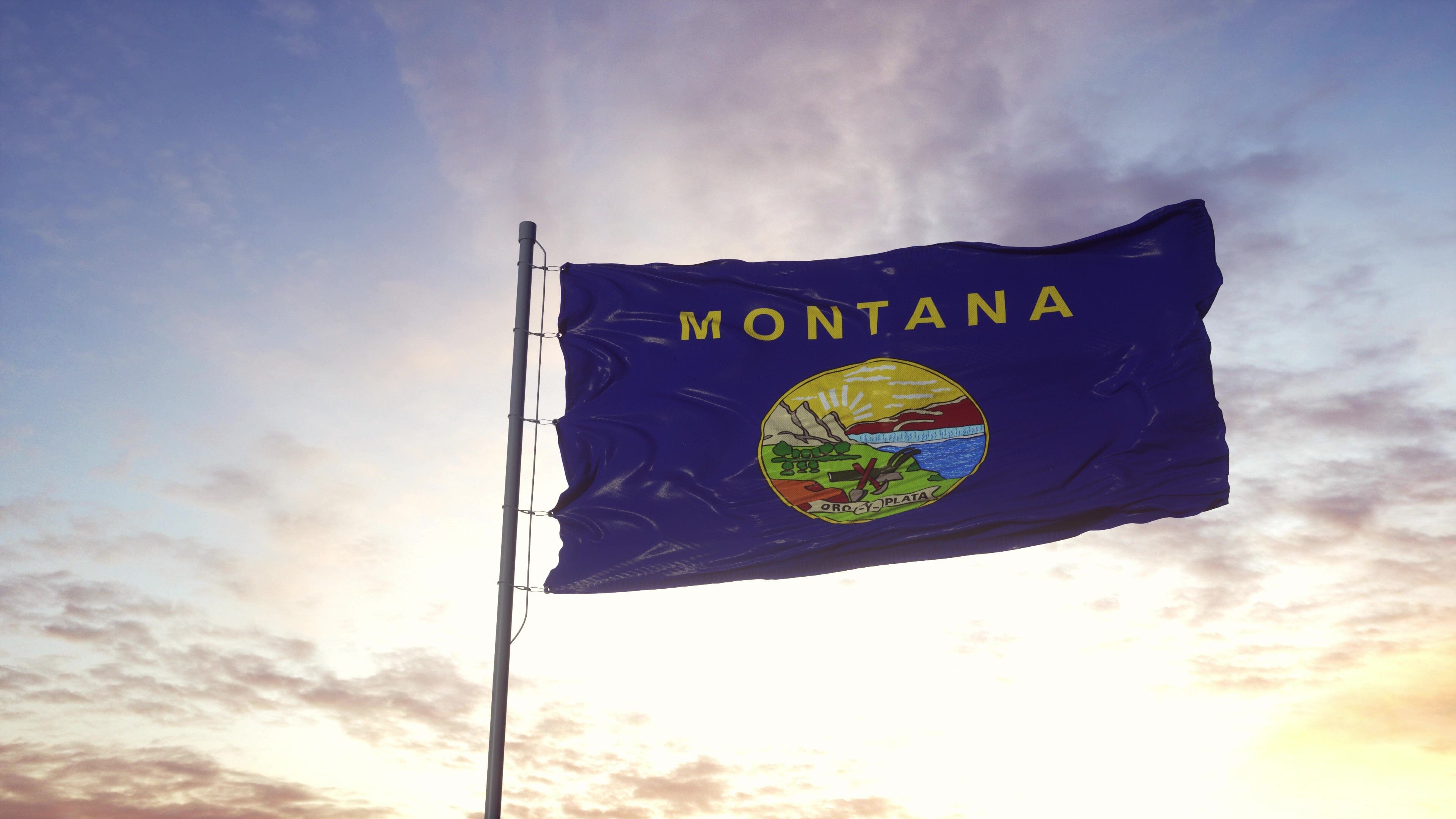Montana State Flag | Nylon or Poly