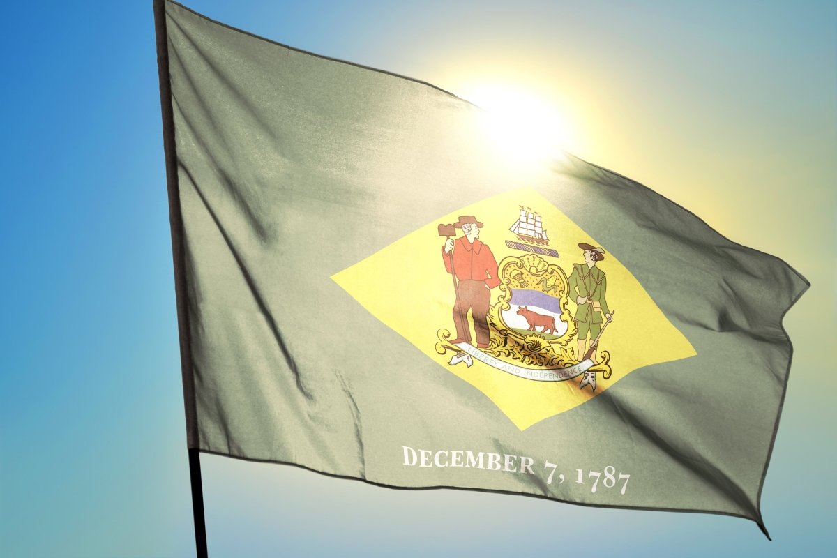 Delaware State Flag | Nylon or Poly - Liberty Flagpoles - State Flag