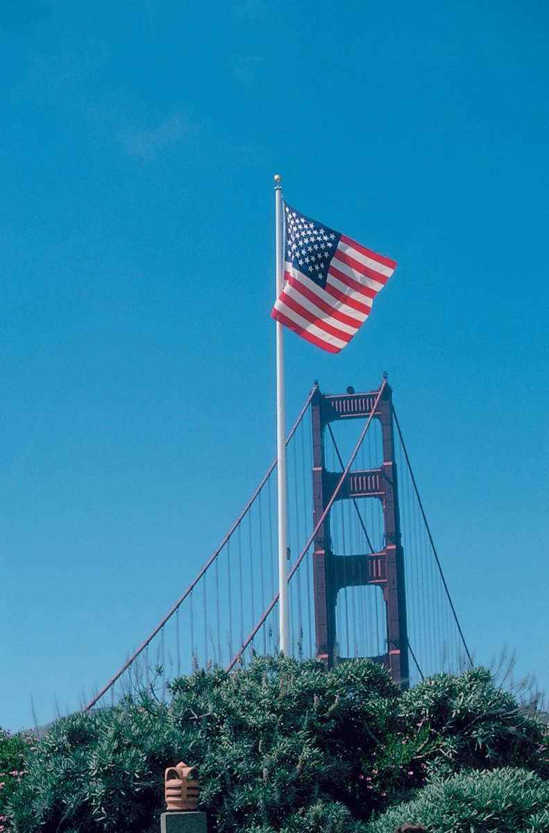 Commercial Fiberglass (50' - 100') | Internal Halyard | Choose Color - Liberty Flagpoles - Fiberglass Flagpole