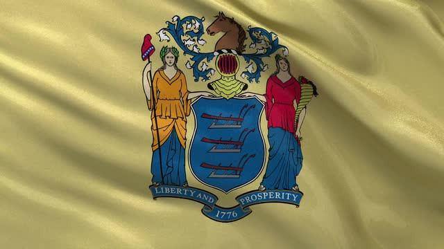 New Jersey State Flag | Nylon or Poly - Liberty Flagpoles - State Flag