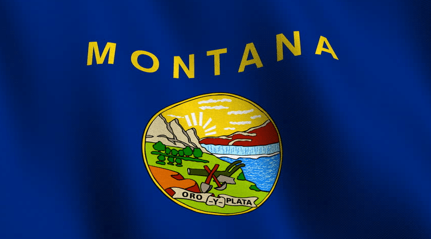 Montana State Flag | Nylon or Poly - Liberty Flagpoles - State Flag