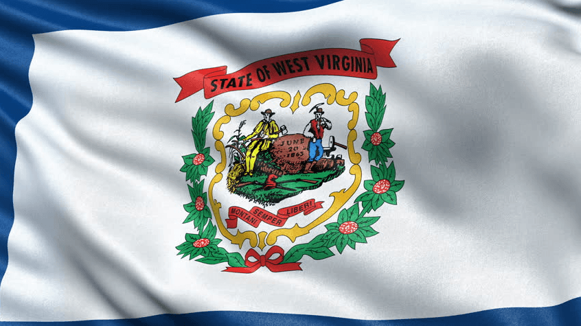 West Virginia State Flag | Nylon or Poly - Liberty Flagpoles - State Flag