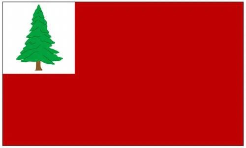 Continental Flag | 3' x 5' Nylon - Liberty Flagpoles - Historical Flag