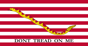1st Navy Jack Flag | 3' x 5' Nylon - Liberty Flagpoles - Historical Flag
