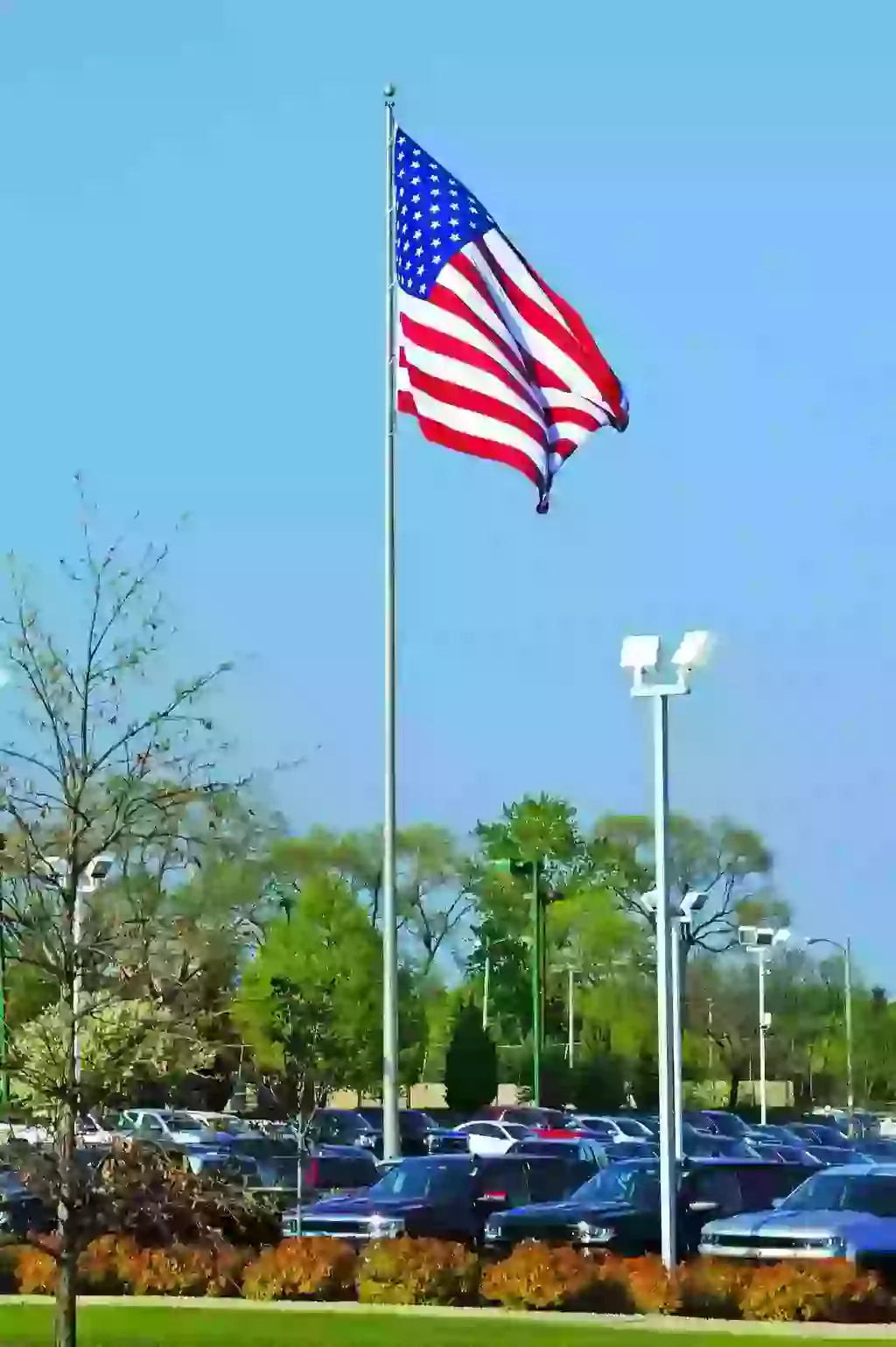 Liberty Estate Series (15′–30′) Residential Aluminum Flag Pole | American Made Strength - Liberty Flagpoles - Residential Flagpole