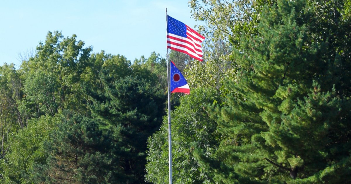 Two flags flying on a tall pole above green trees, with an American flag over a red and blue pennant flag.