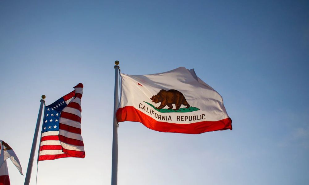 Tips To Properly Clean a Dirty Nylon Flag
