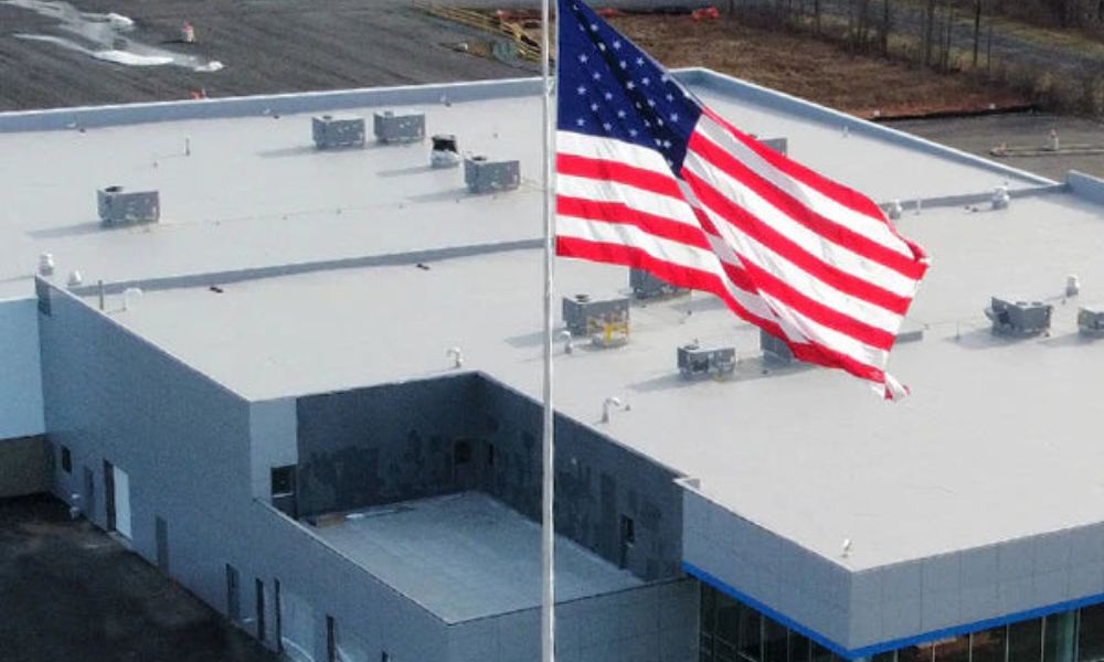 The Benefits of Demonstrating Patriotism in Business