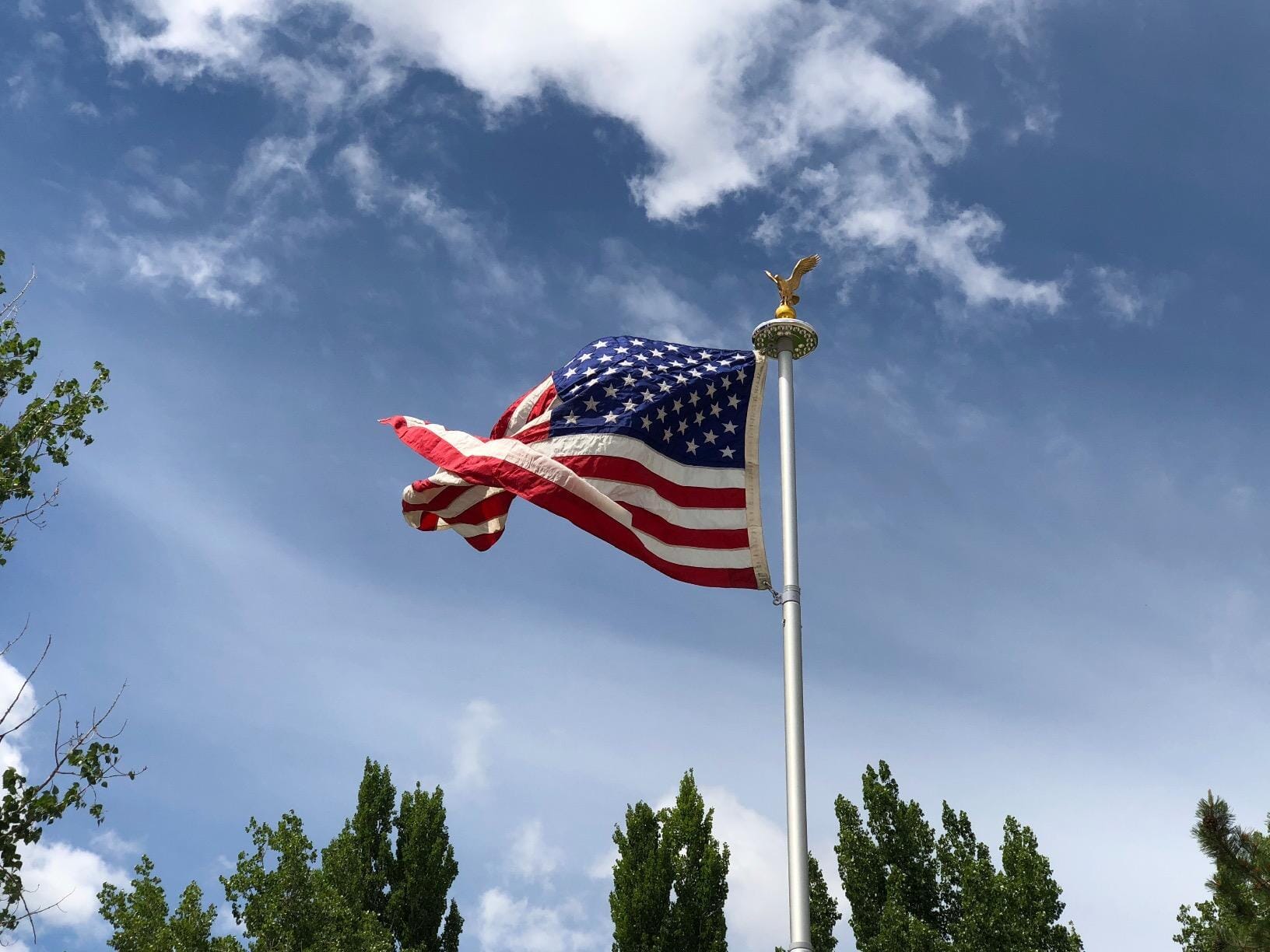FlyinGlory Heavy Duty Telescoping Flagpole | 10 Gauge - 7005-T8 Aluminum | Strongest Available