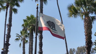 California State Flag | Nylon or Poly Outdoor Flags