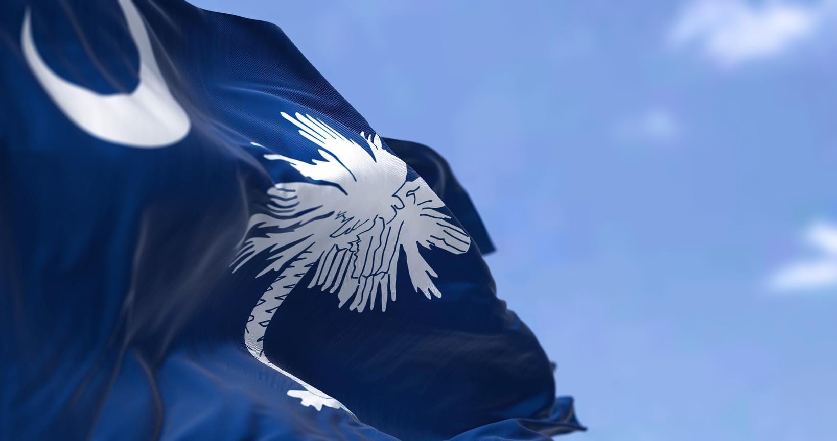 South Carolina State Flag | Nylon or Poly