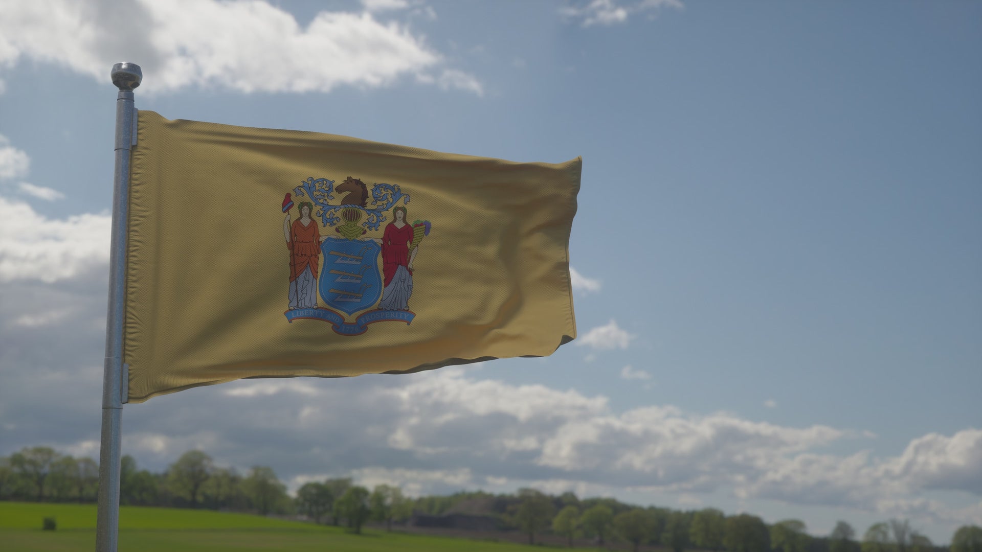 New Jersey State Flag