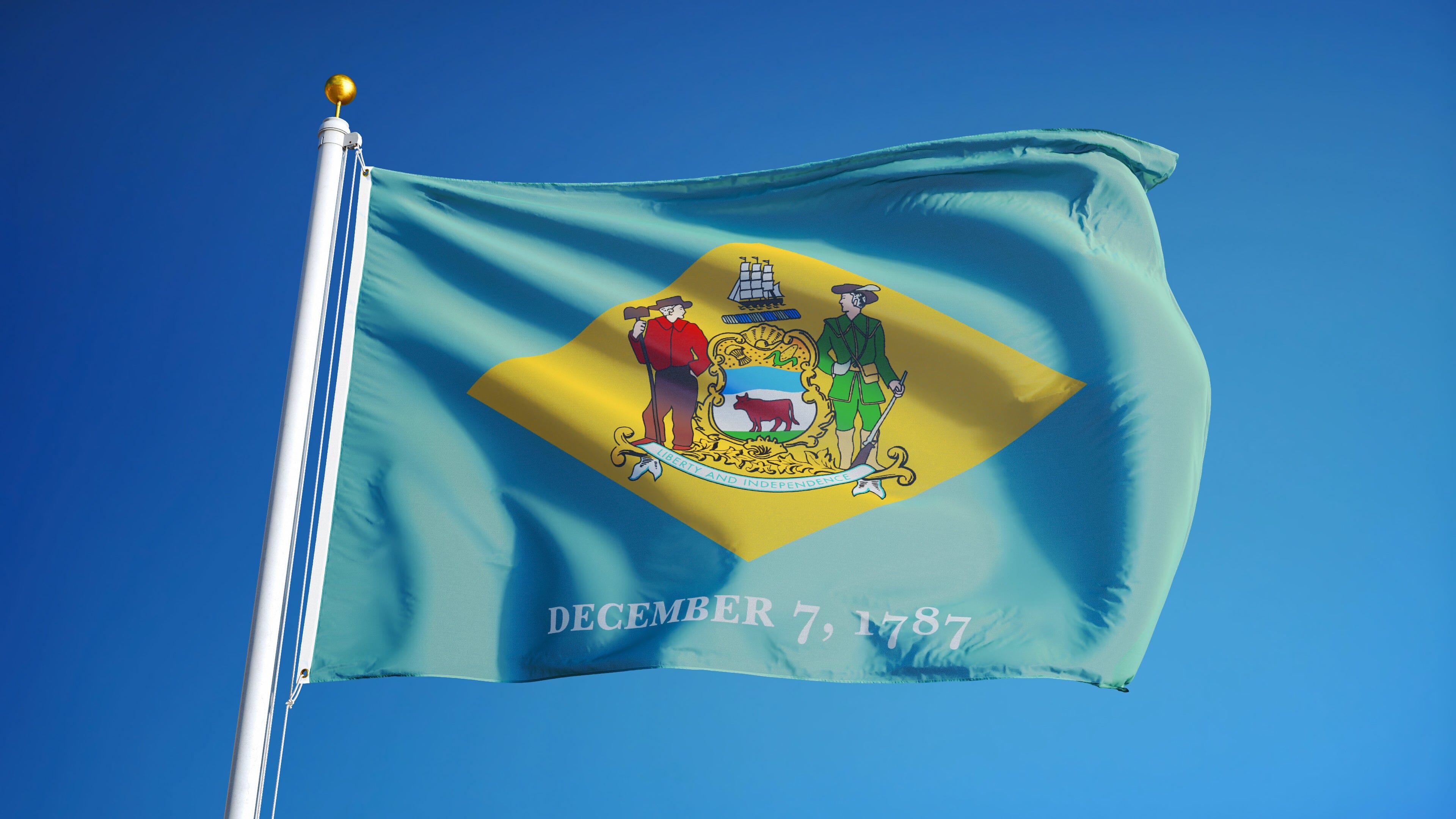 Delaware State Flag | Nylon or Poly