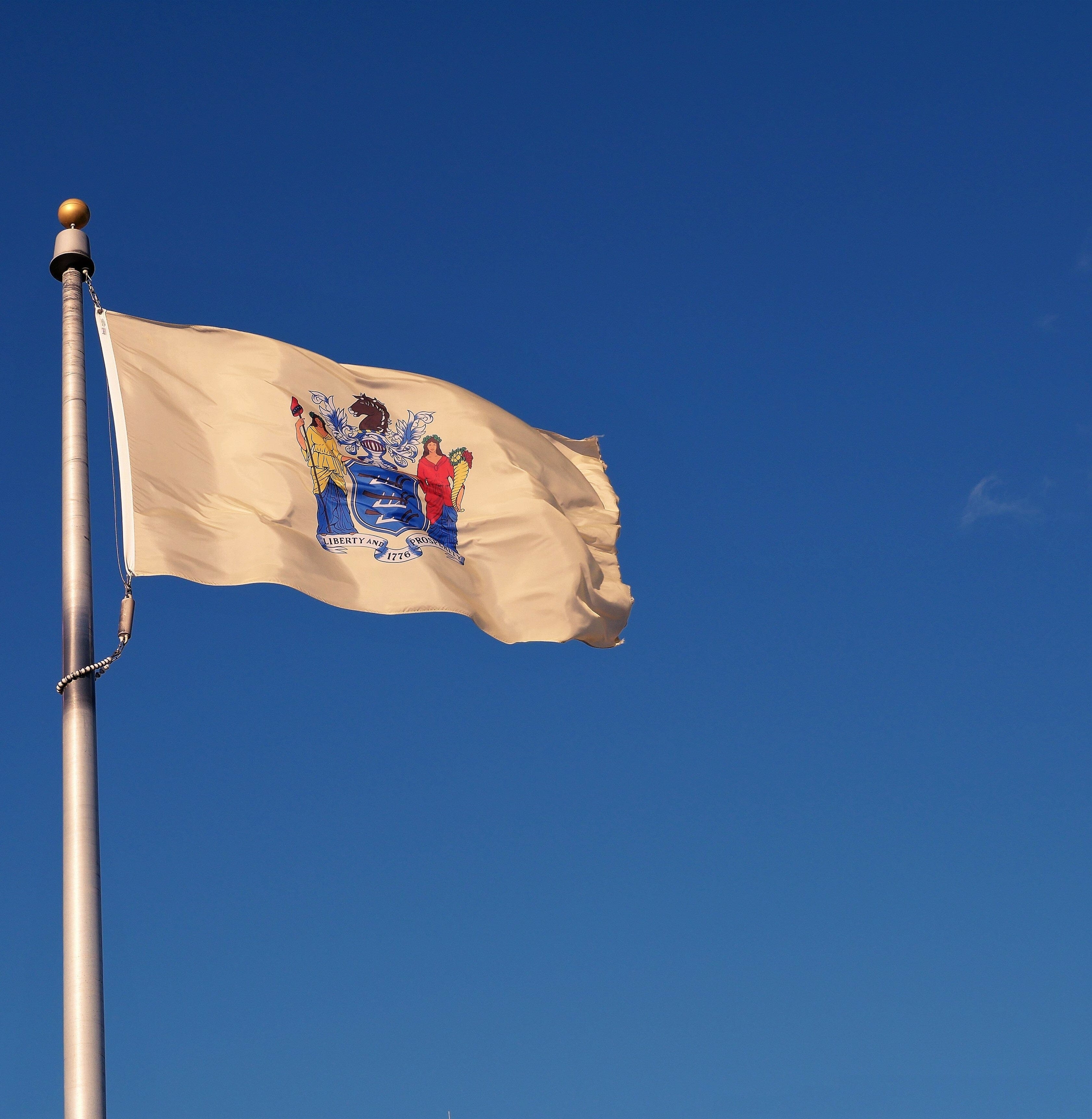 New Jersey State Flag | Nylon or Poly