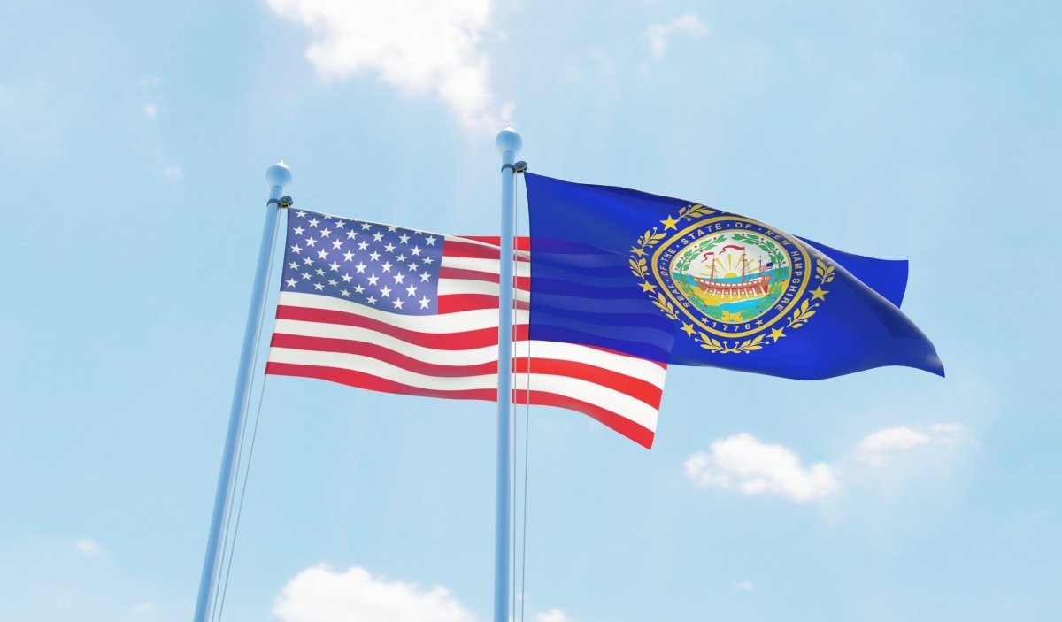 New Hampshire State Flag | Nylon or Poly - Liberty Flagpoles - State Flag