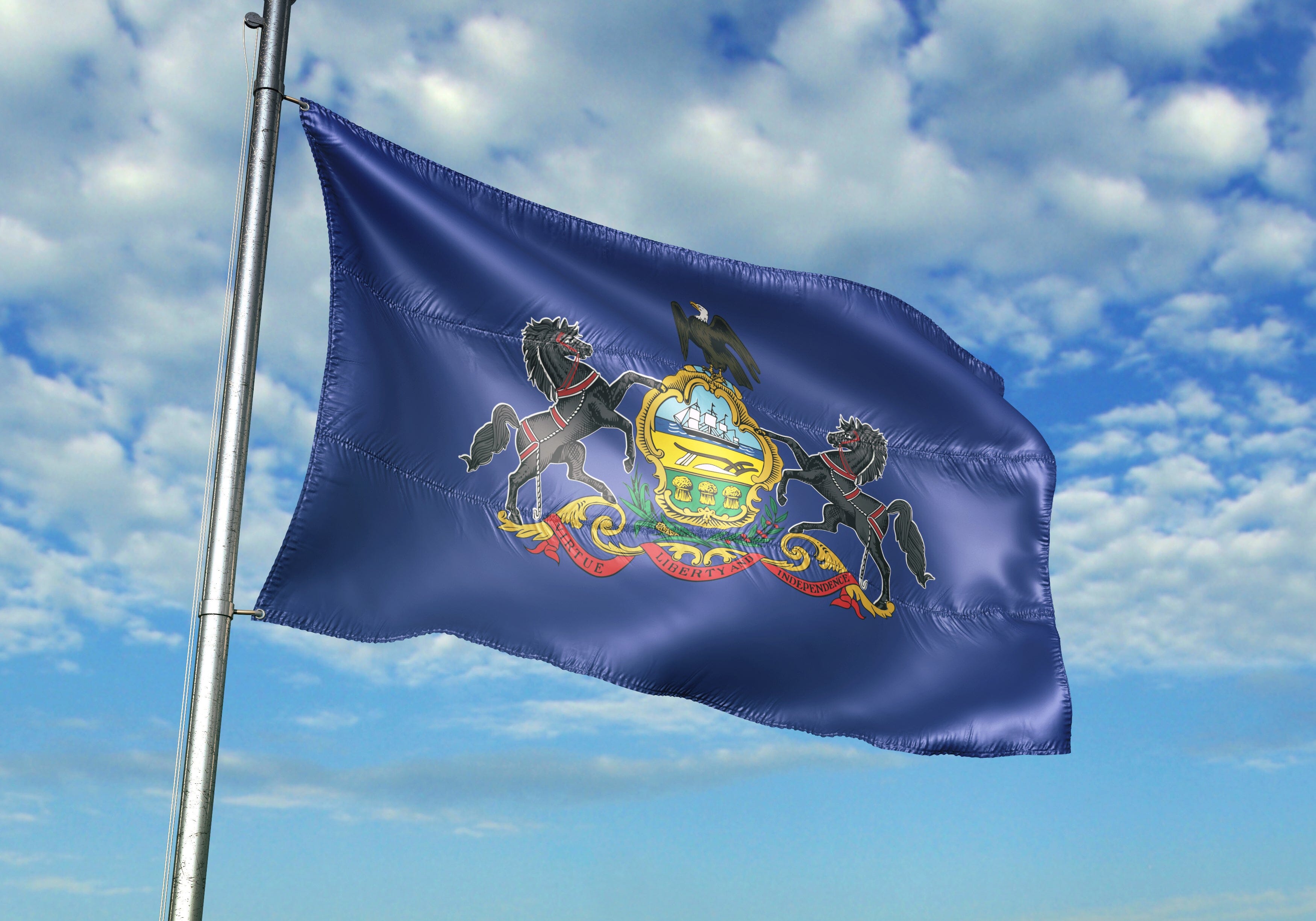 Pennsylvania State Flag | Nylon or Poly