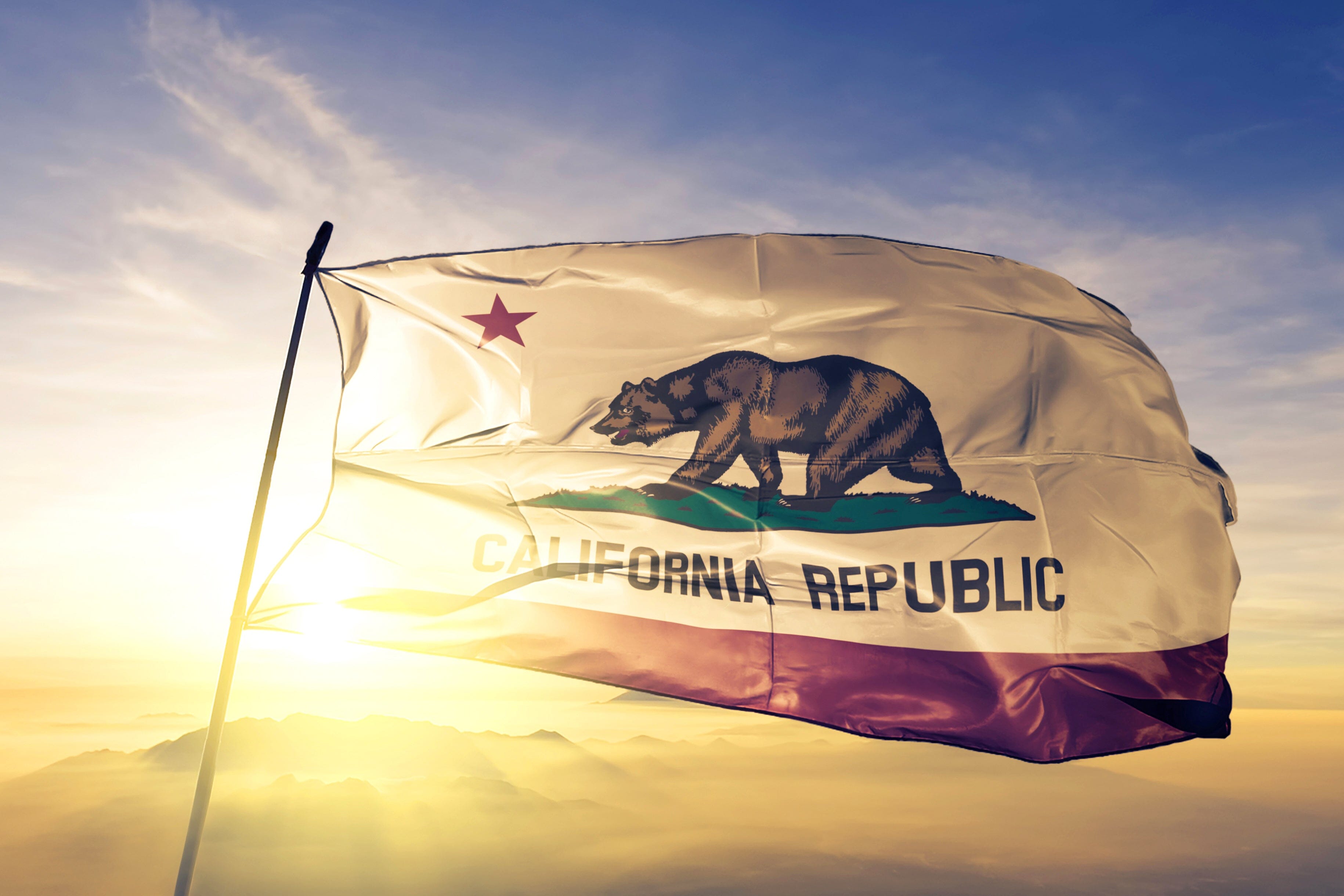 California State Flag | Nylon or Poly