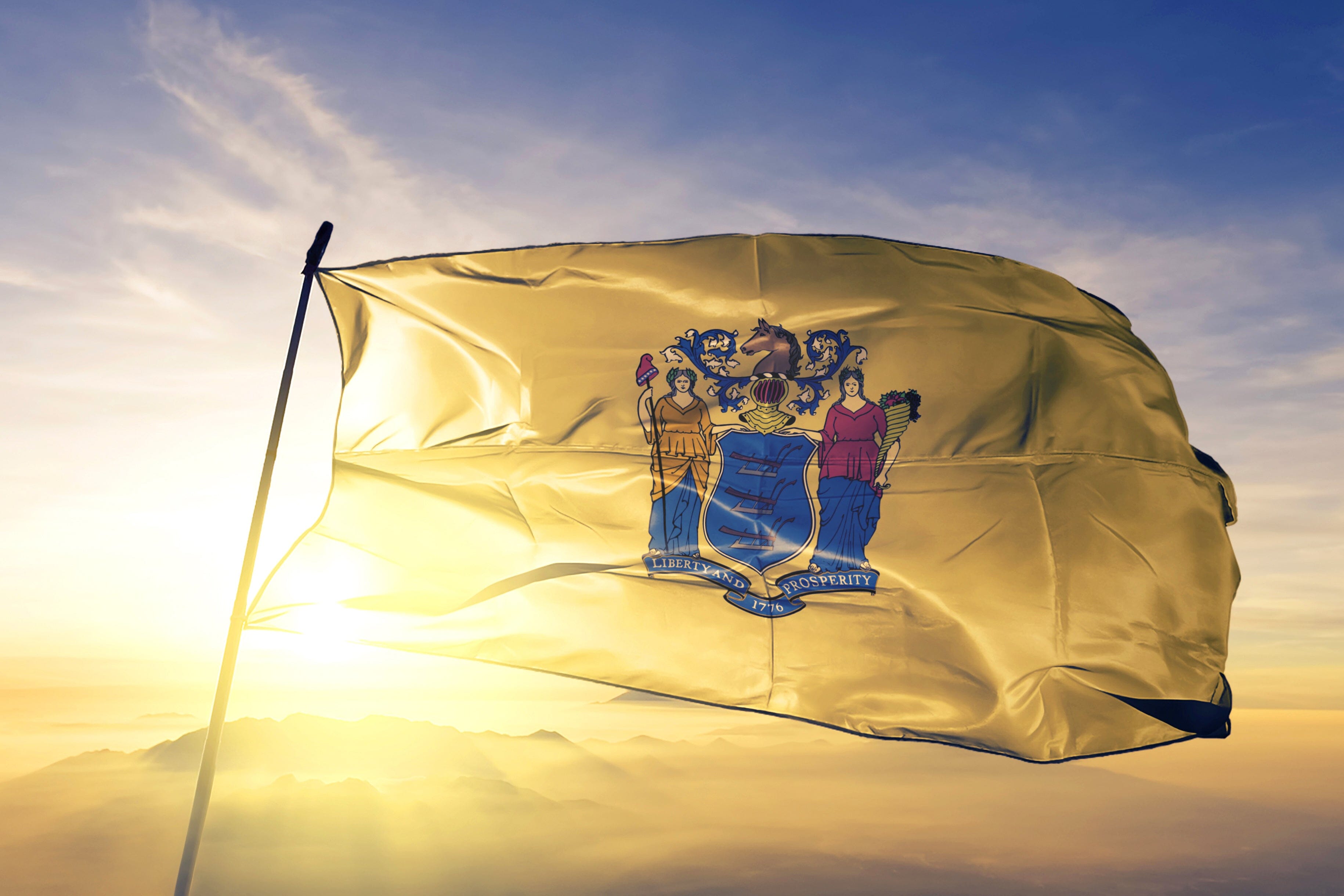 New Jersey State Flag