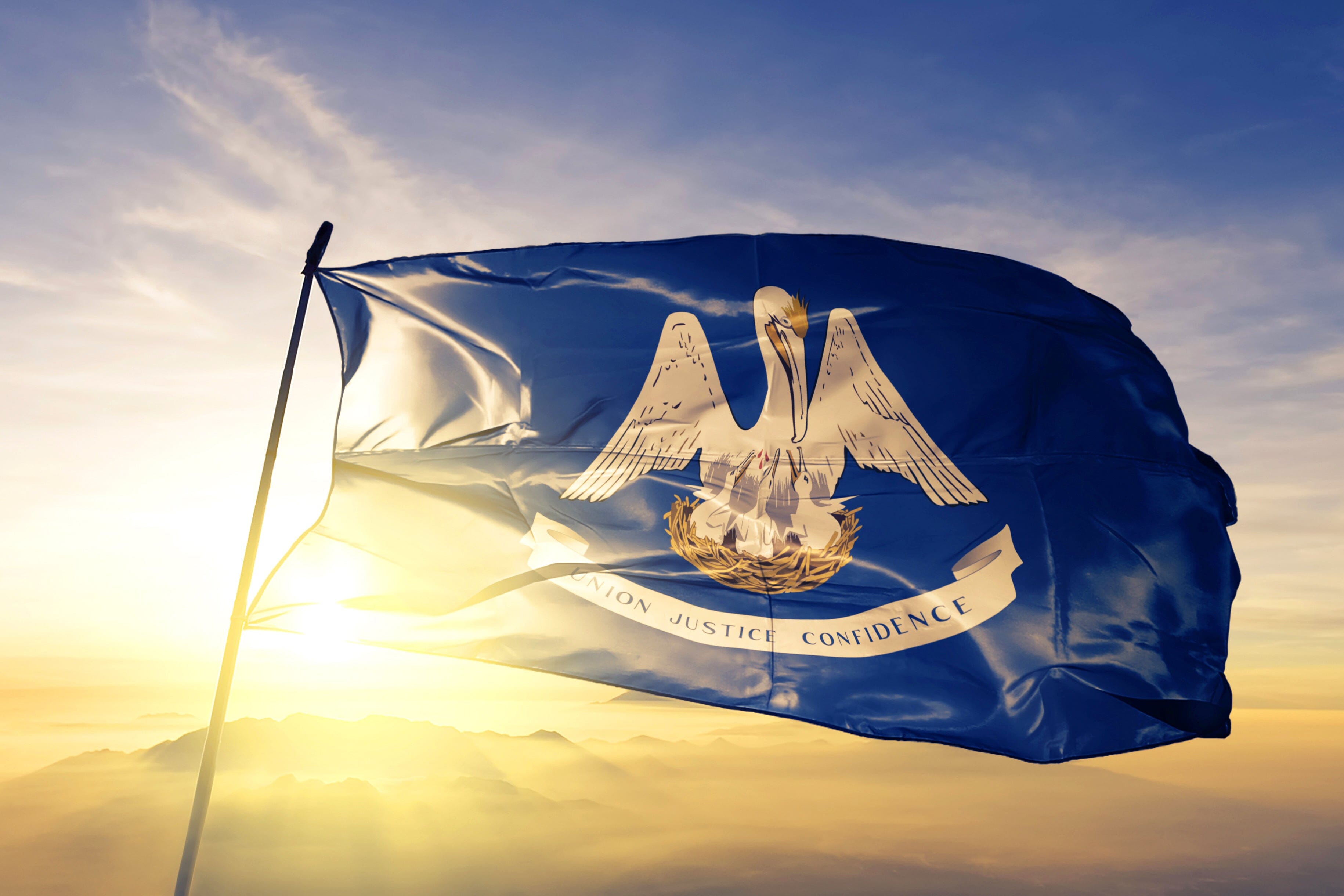 Louisiana State Flag | Nylon or Poly