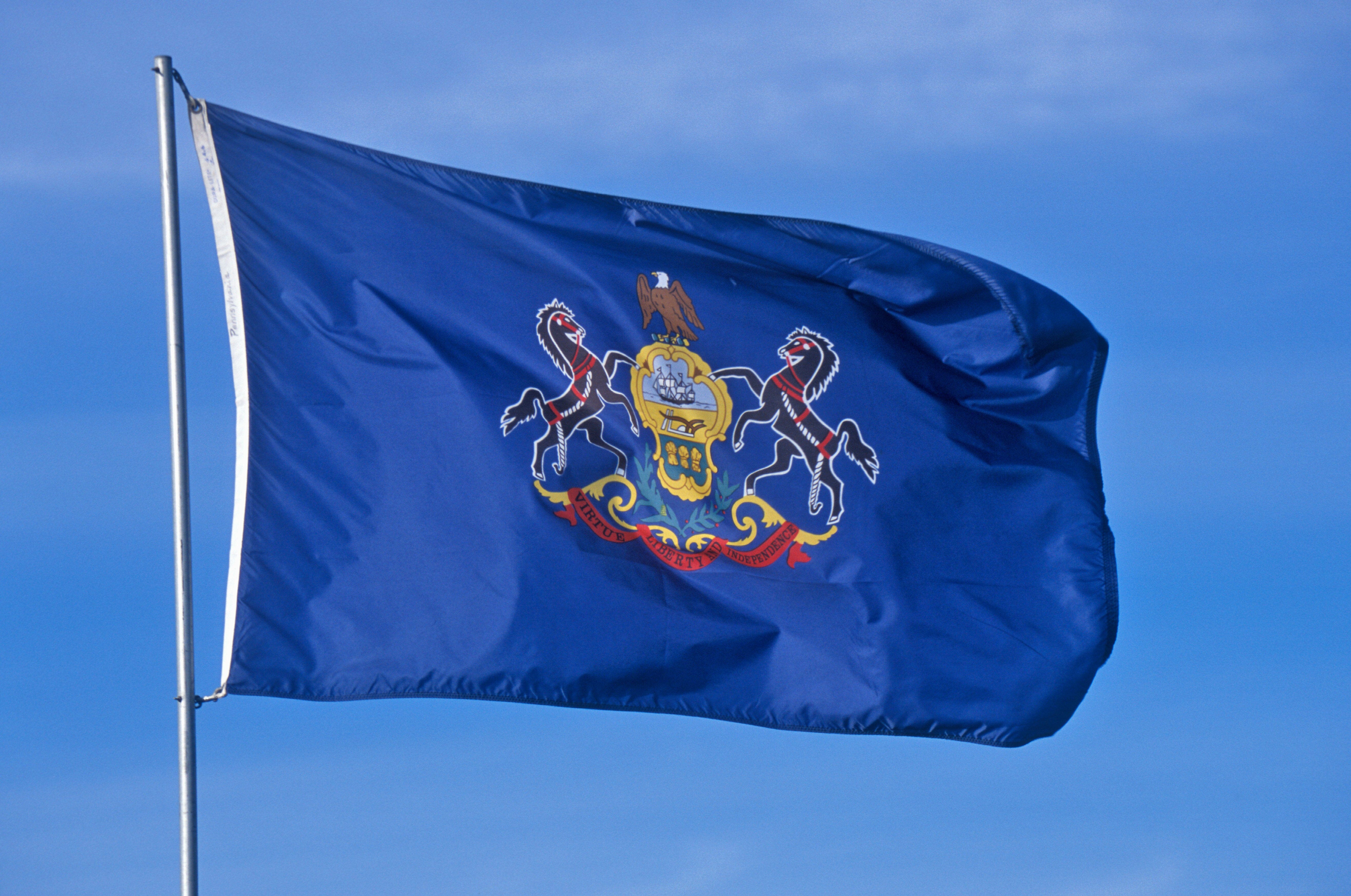 Pennsylvania State Flag | Nylon or Poly