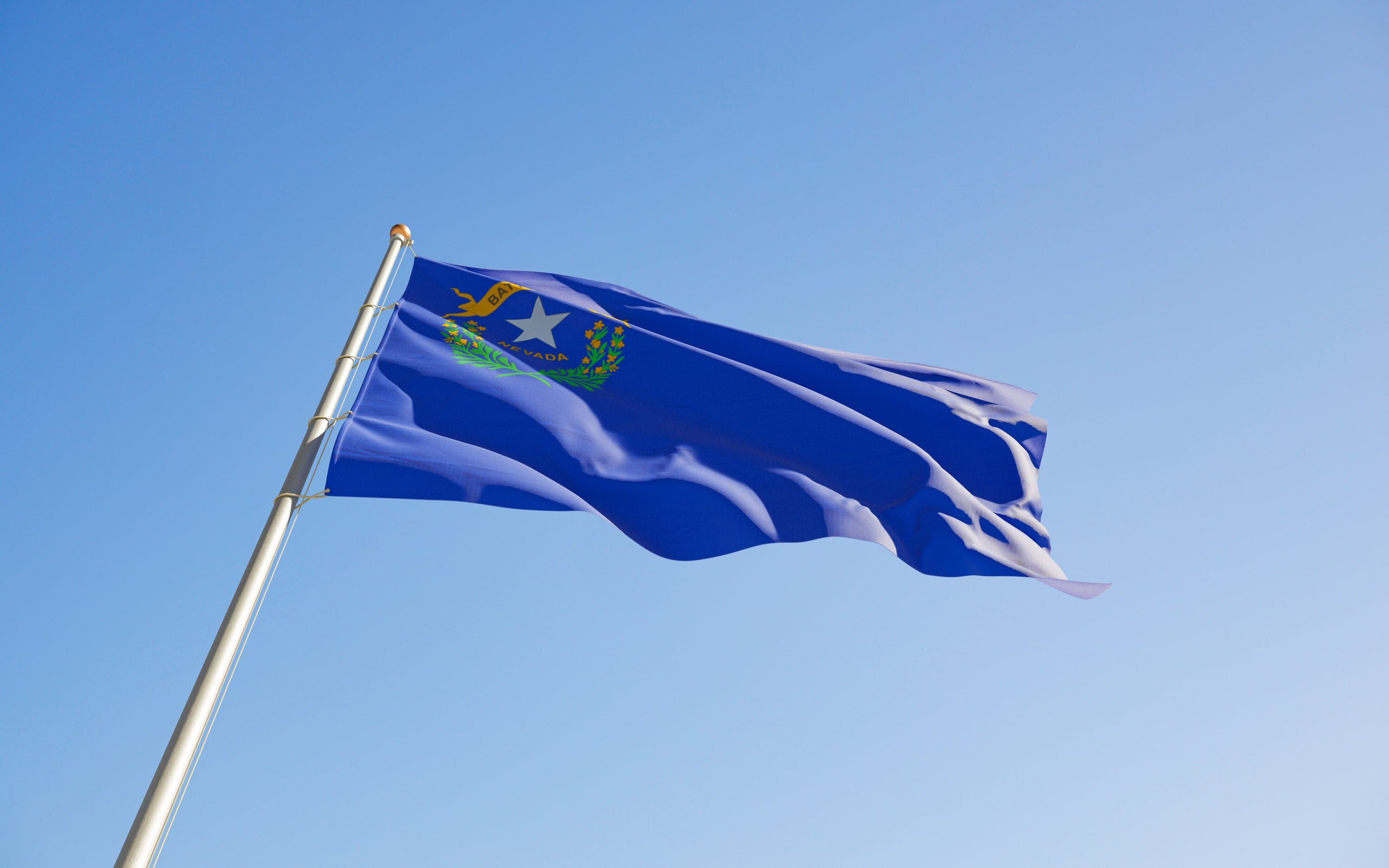 Nevada State Flag | Nylon or Poly