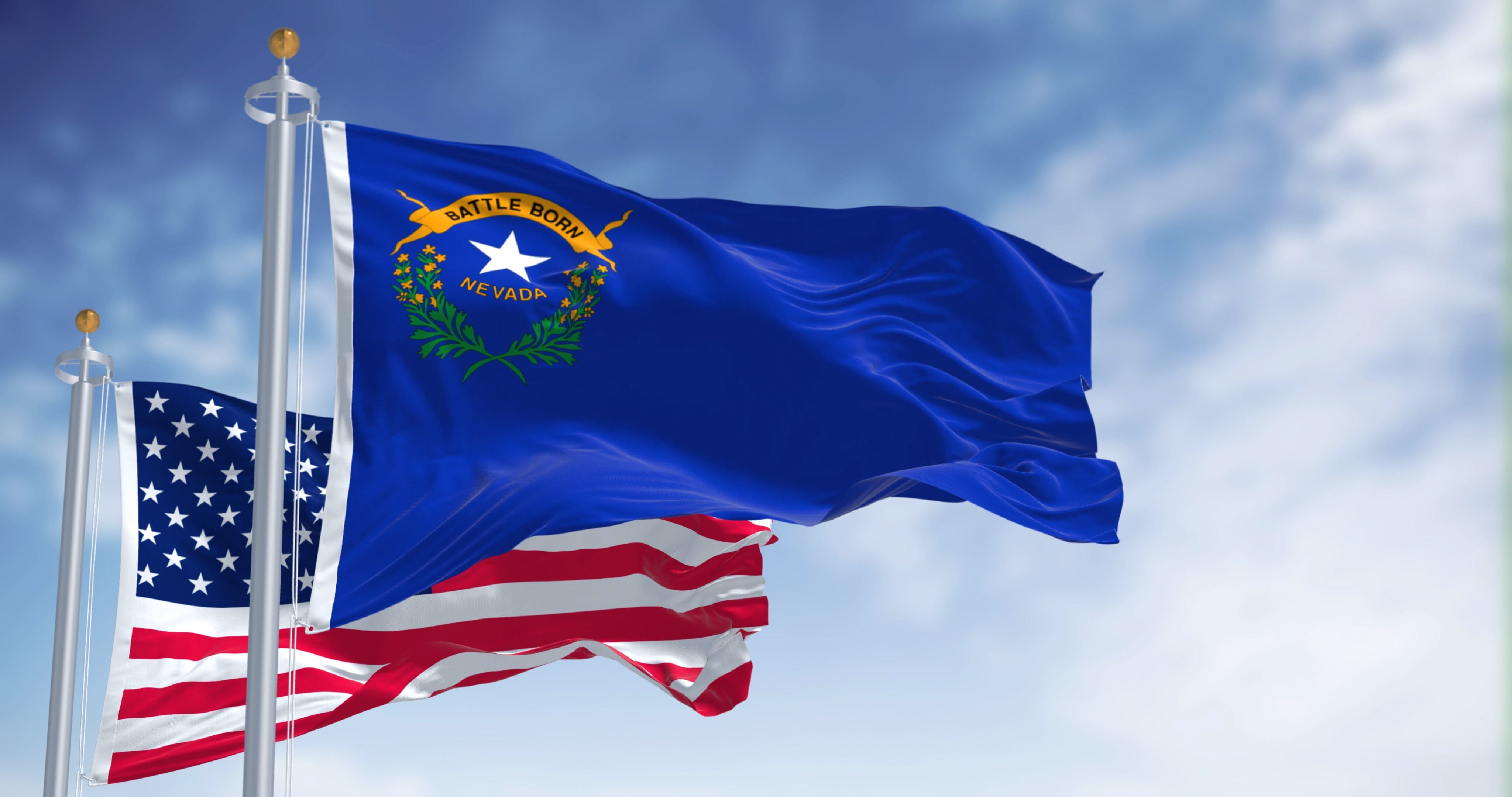 Nevada State Flag | Nylon or Poly