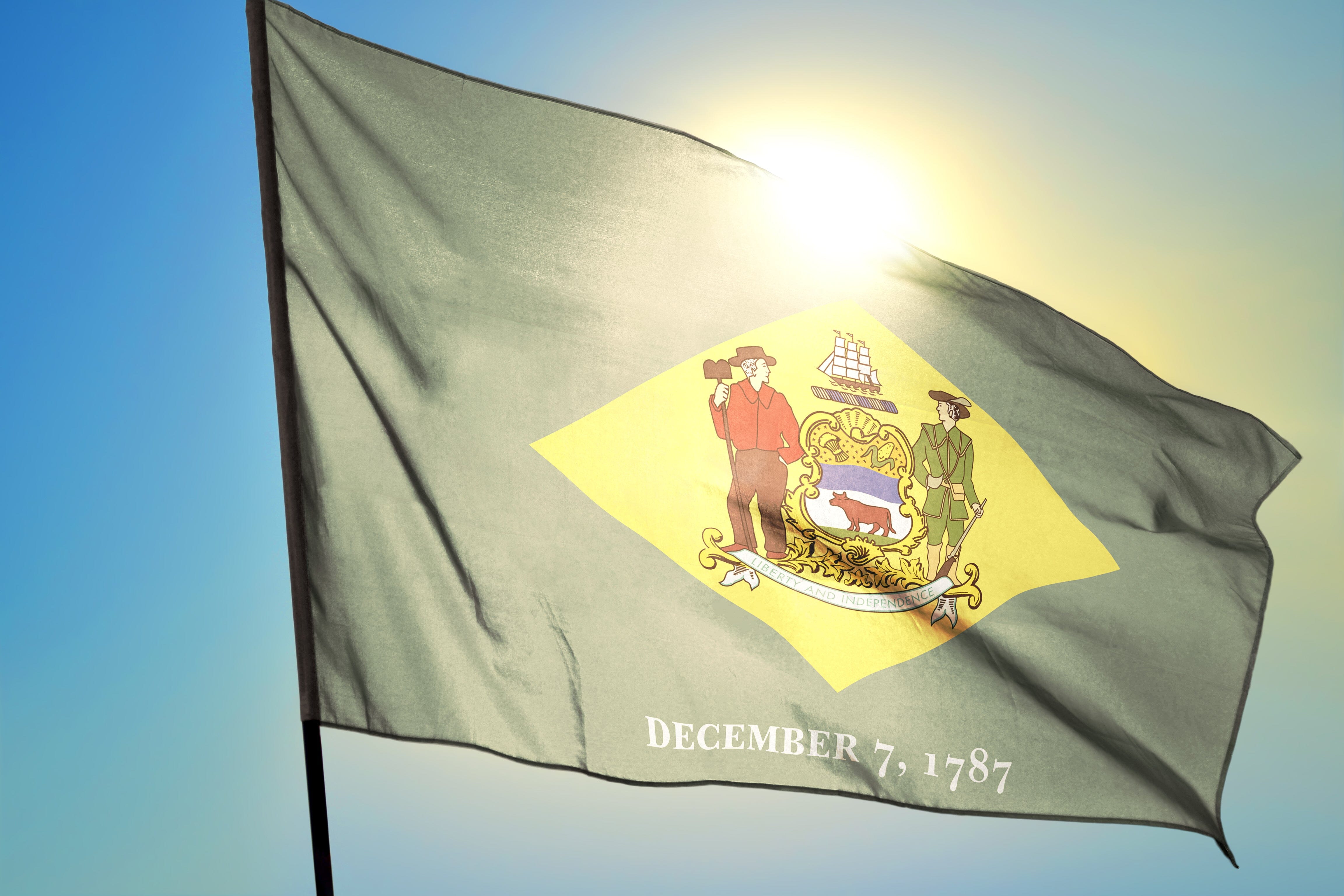 Delaware State Flag | Nylon or Poly