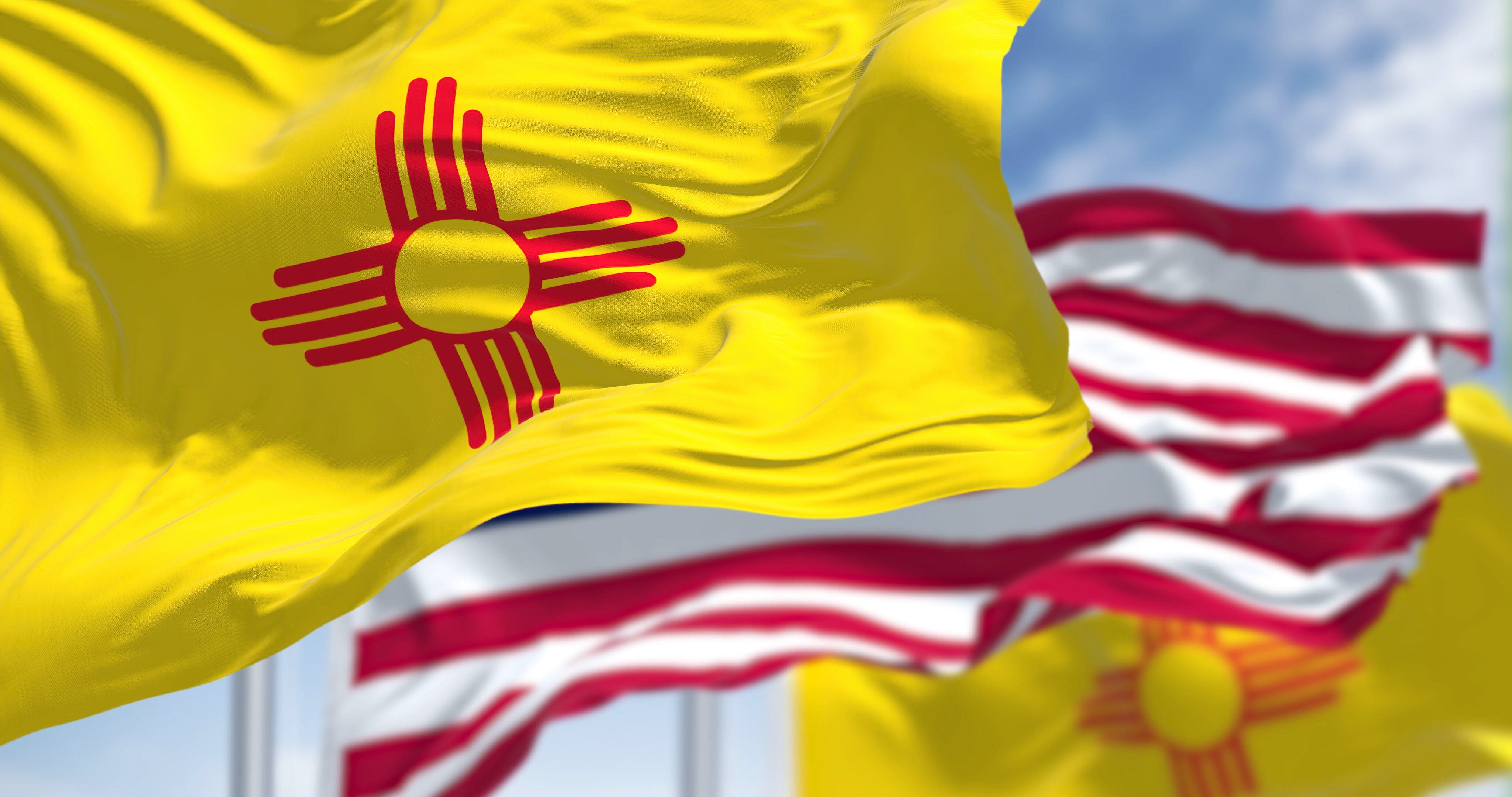 New Mexico State Flag | Nylon or Poly