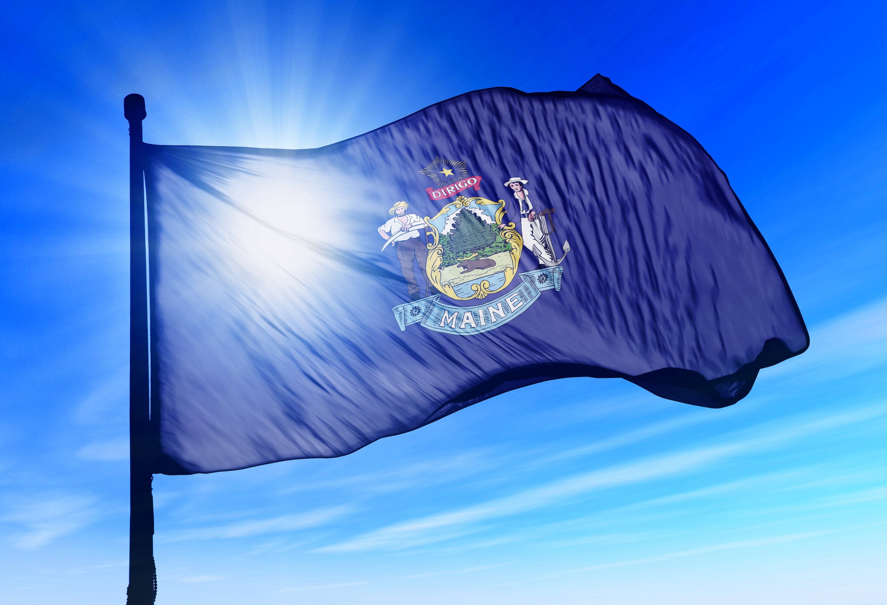 Maine State Flag | Nylon or Poly