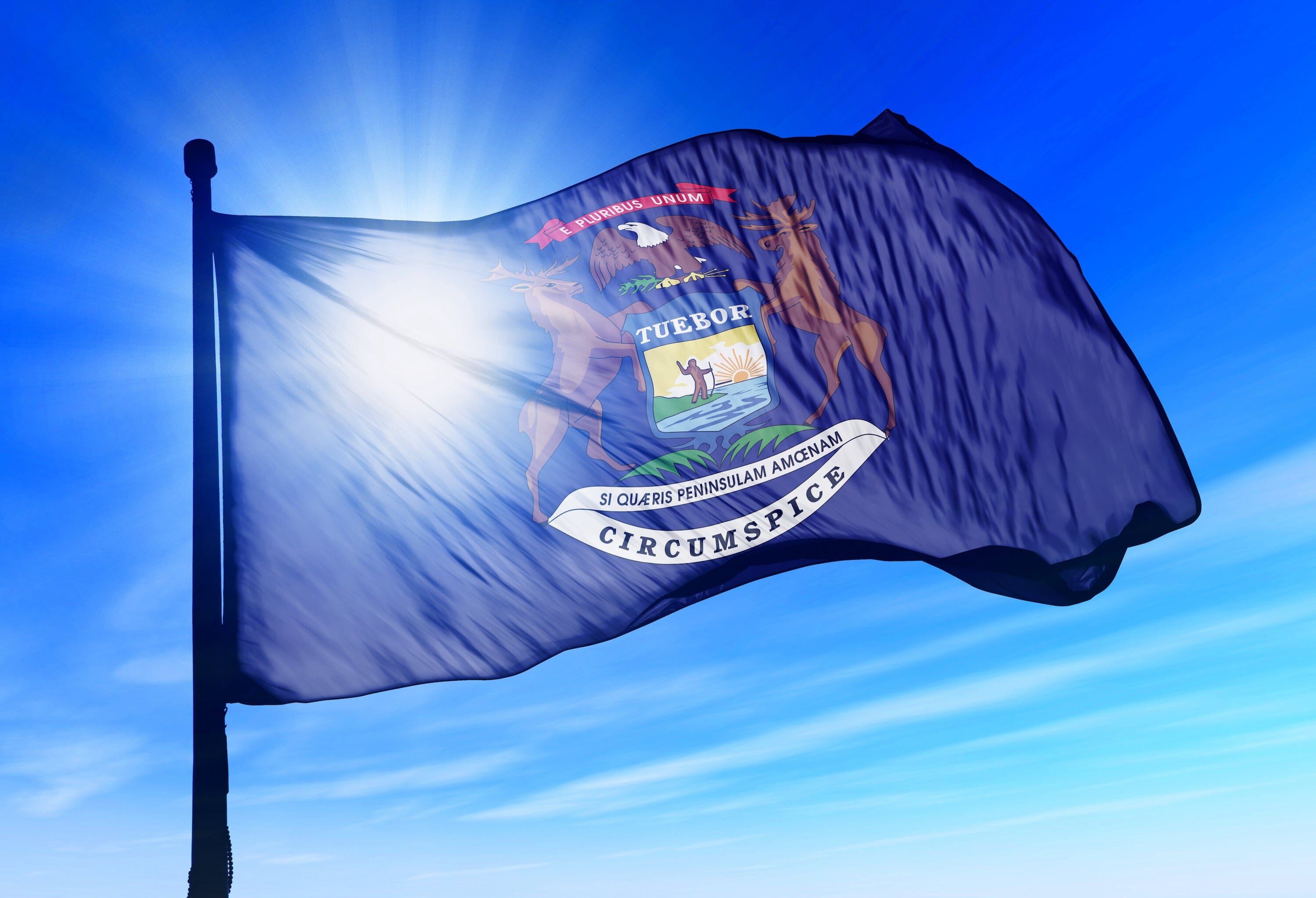 Michigan State Flag | Nylon or Poly