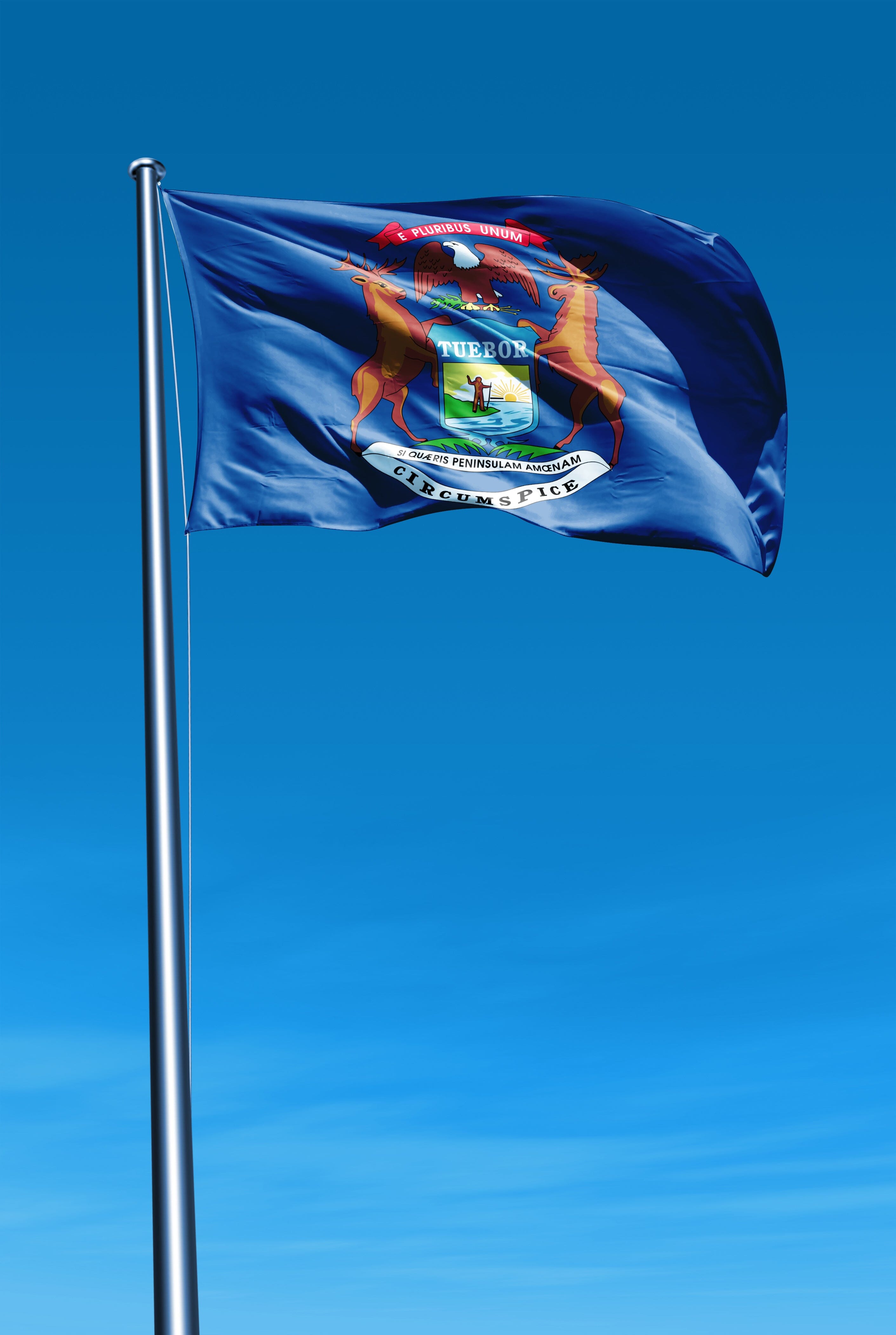 Michigan State Flag | Nylon or Poly