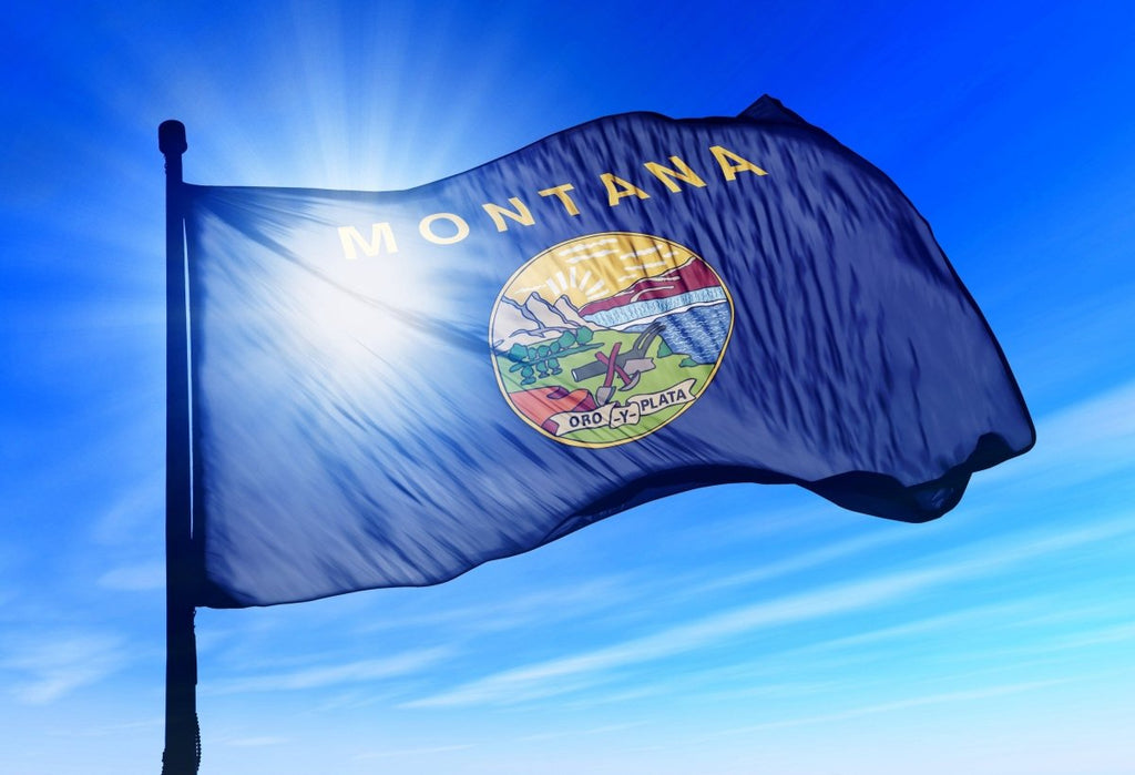Montana State Flag Nylon Or Poly