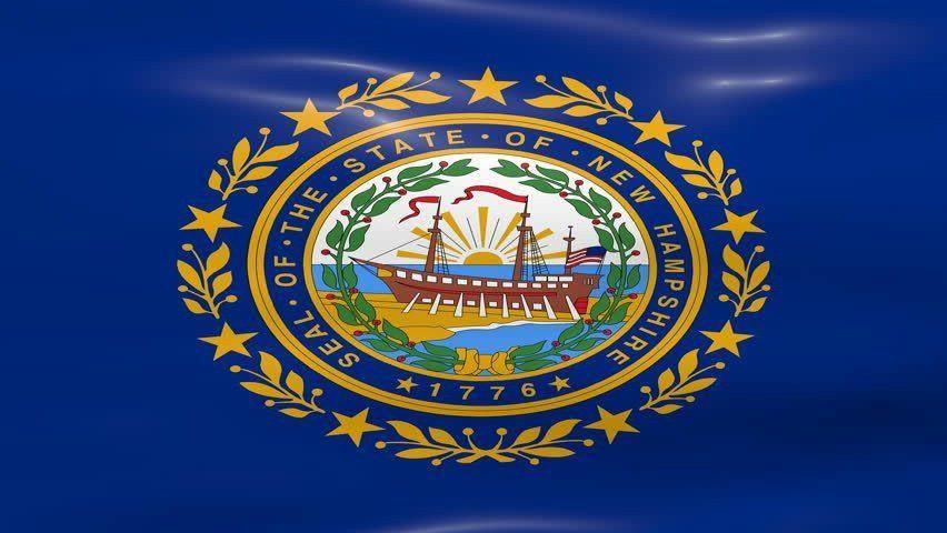 New Hampshire State Flag-State Flag-Liberty Flagpoles