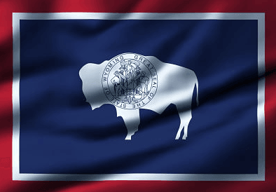 Wyoming State Flag-State Flag-Liberty Flagpoles