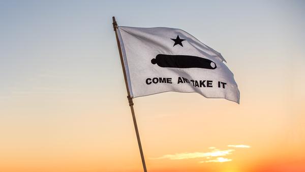 Come And Take It Flag (Gonzales Banner of 1835) | 3' x 5' Nylon-Historical Flag-Liberty Flagpoles