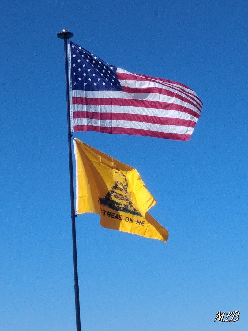 Gadsden Flag-Historical Flag-Liberty Flagpoles